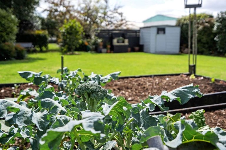 Photo of property in 16 Clark Road, Te Kamo, Whangarei, 0112