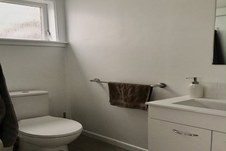 Photo of property in 13 Charlotte Avenue, Brooklyn, Wellington, 6021