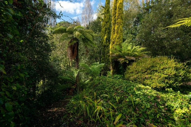 Photo of property in 25 Kinloch Road, Kinloch, Taupo, 3377