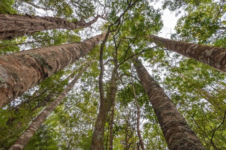 Photo of property in 66 Albany Highway, Greenhithe, Auckland, 0632