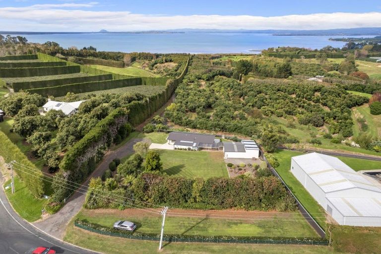 Photo of property in 274 Kauri Point Road, Tahawai, Katikati, 3170