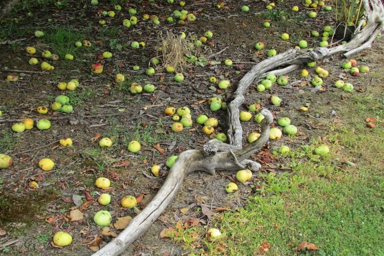 Photo of property in 45 Town Belt South, Blackball, 7804