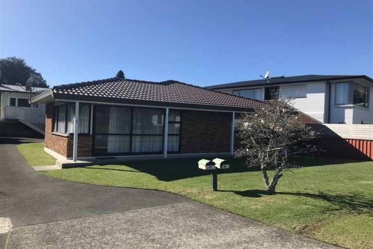 Photo of property in 71a Campbell Road, Mount Maunganui, 3116