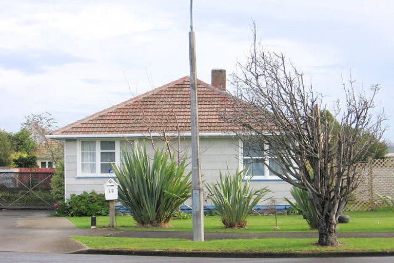 Photo of property in 12 Leicester Street, Terrace End, Palmerston North, 4410