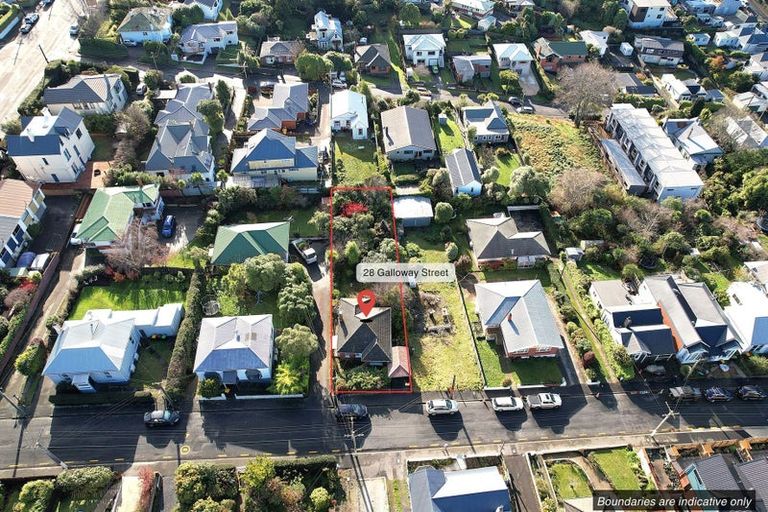 Photo of property in 28 Galloway Street, Mornington, Dunedin, 9011