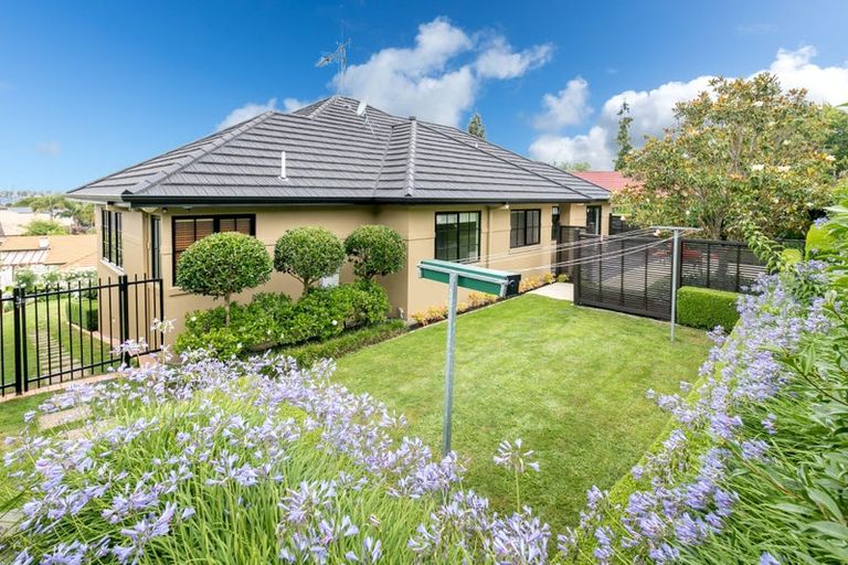 Photo of property in 21 Stella Place, Chartwell, Hamilton, 3210