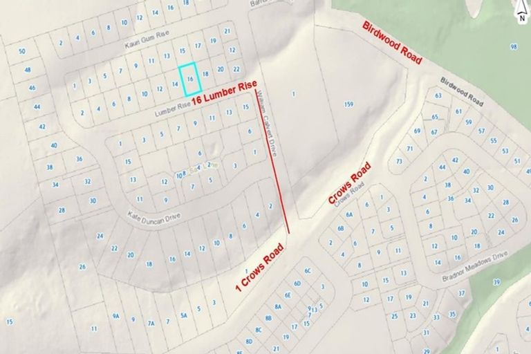 Photo of property in 16 Lumber Rise, Swanson, Auckland, 0614