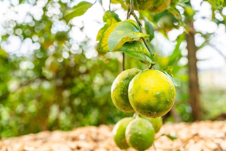 Photo of property in 24 Waimahanga Road, Onerahi, Whangarei, 0110