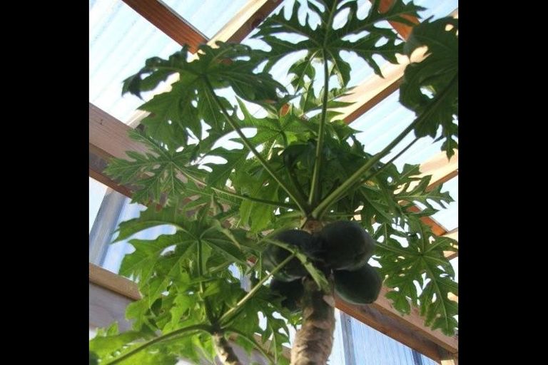 Photo of property in 408 Henderson Bay Road, Houhora, Kaitaia, 0484