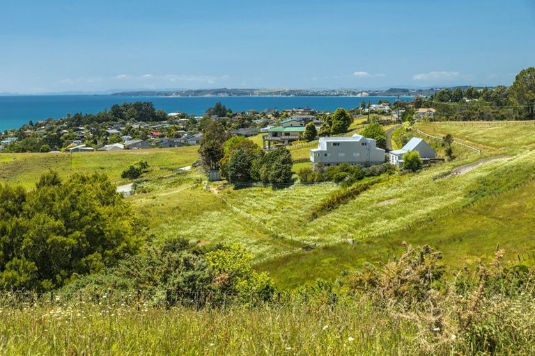 Photo of property in 159 Hillcrest Road, Hatfields Beach, Orewa, 0931