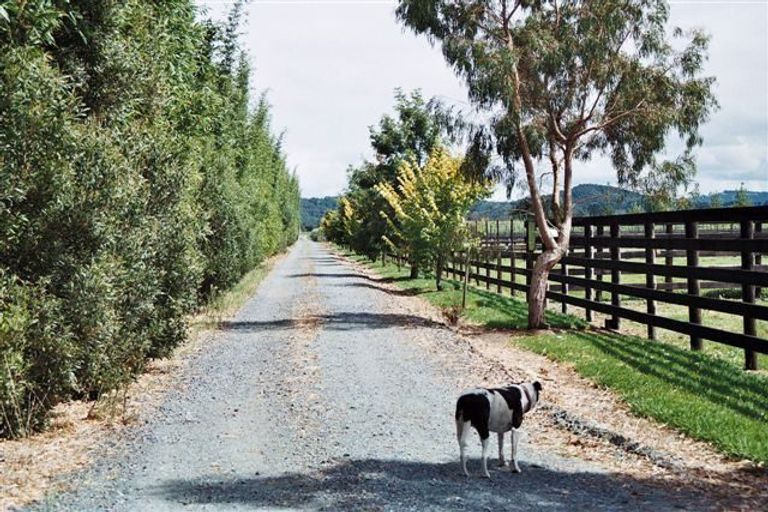 Photo of property in 119 Saint Marys Road, Waipu, 0582