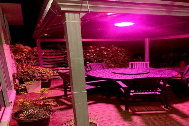 Photo of property in 37 Newington Road, Henderson, Auckland, 0612