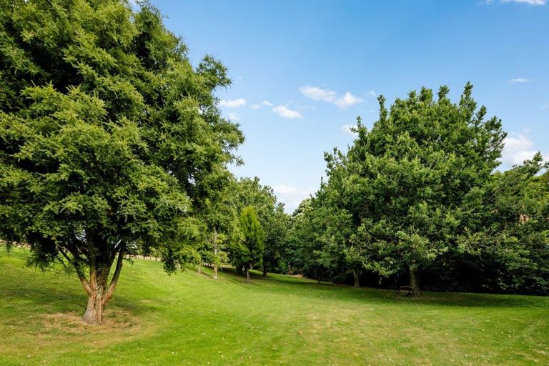 Photo of property in 77 Harrowfield Drive, Harrowfield, Hamilton, 3210