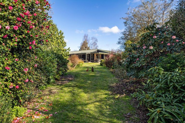 Photo of property in 260 Downs Road, Geraldine Downs, Geraldine, 7991