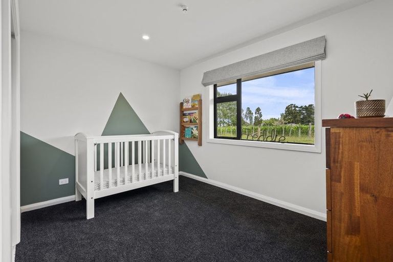 Photo of property in 569 Taonui Road, Colyton, Feilding, 4775