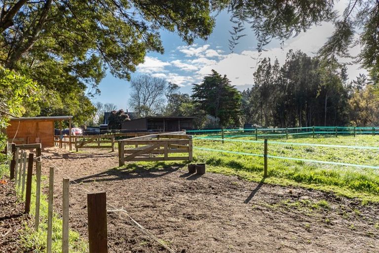 Photo of property in 119 Cemetery Road, Sanson, Palmerston North, 4479