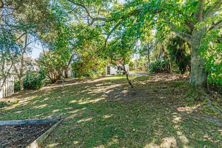 Photo of property in 16 William Bond Street, Stanley Point, Auckland, 0624