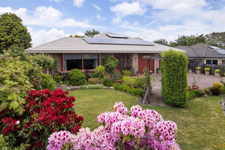 Photo of property in 58 Adams Street, Waihi, 3610