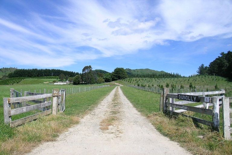 Photo of property in 529 Craigie Lea Road, Te Wharau, Masterton, 5883