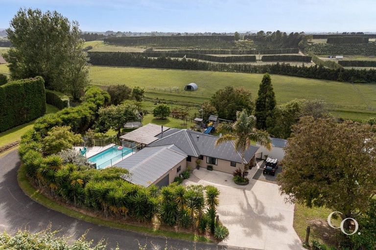 Photo of property in 159c Brown Road, Te Puke, 3188
