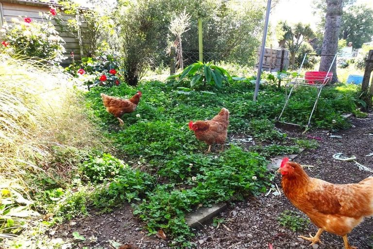 Photo of property in 51 Alexandra Street, Temuka, 7920