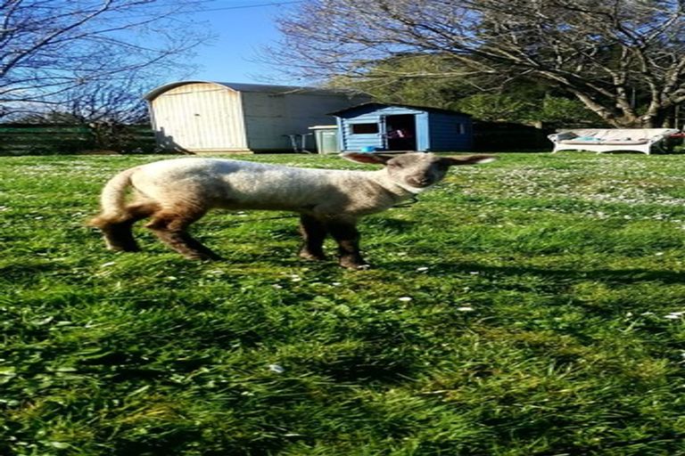 Photo of property in 185 Tahekeroa Road, Tahekeroa, Kaukapakapa, 0873