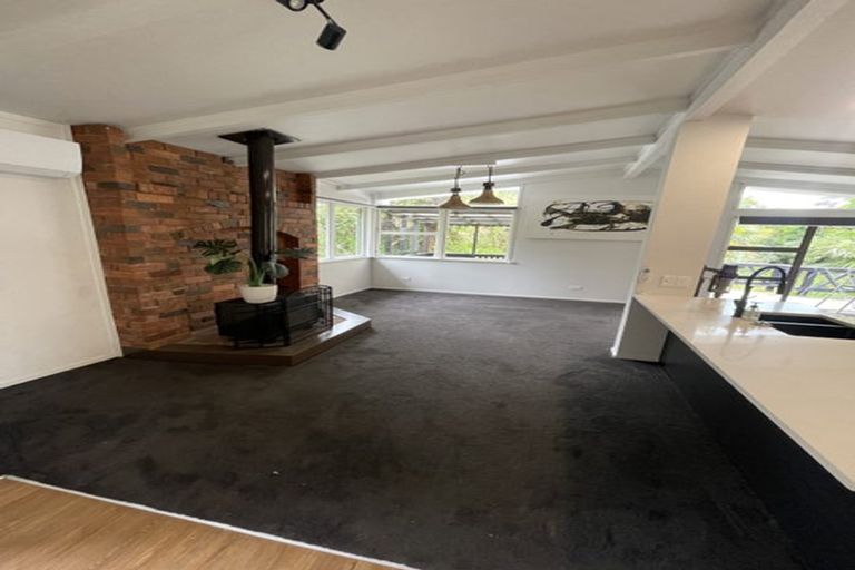 Photo of property in 46 Judkins Crescent, Cockle Bay, Auckland, 2014