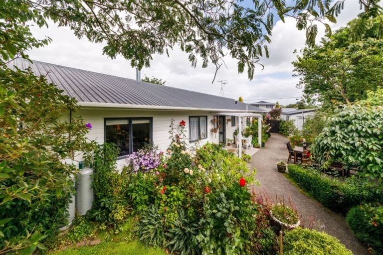 Photo of property in 101 Lincoln Street, Ashhurst, 4810