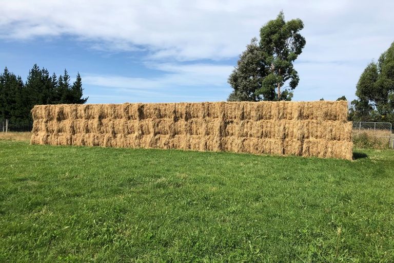 Photo of property in 830 Oxford Road, Fernside, Rangiora, 7471