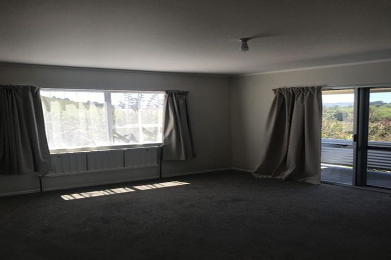 Photo of property in 68b Mercer Ferry Road, Mercer, Tuakau, 2696