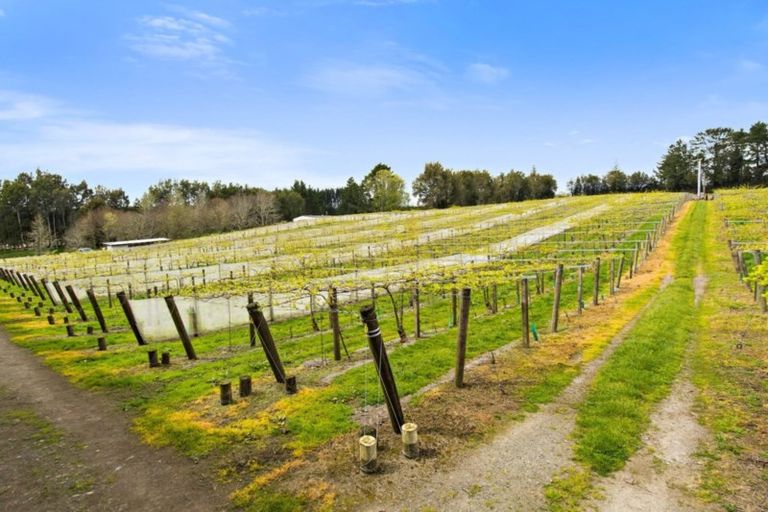 Photo of property in 37 Jacks Lane, Oropi, Tauranga, 3173