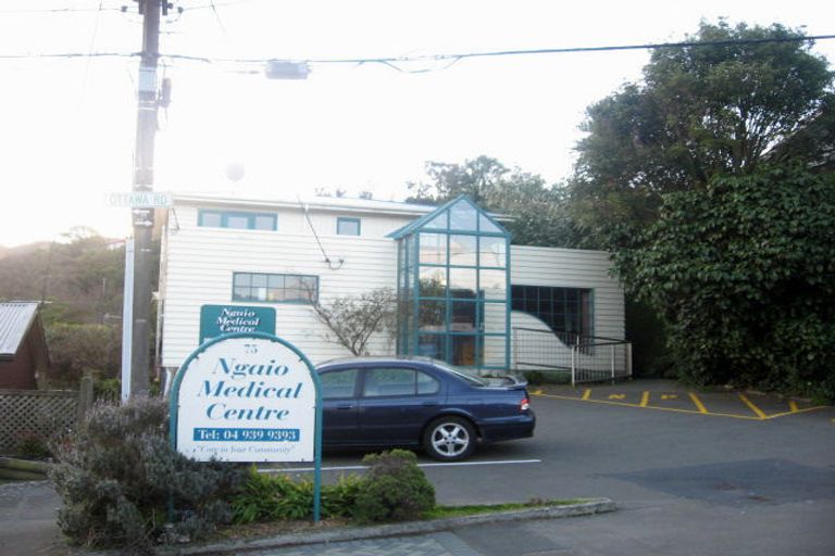 Photo of property in 75 Ottawa Road, Ngaio, Wellington, 6035