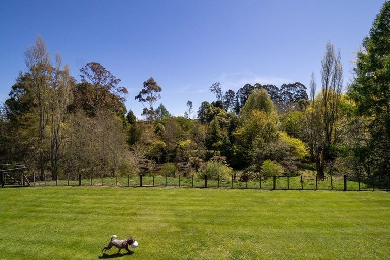 Photo of property in 401 Hamurana Road, Ngongotaha, Rotorua, 3097