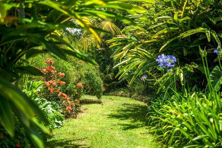 Photo of property in 303 Puketotara Road, Waipapa, Kerikeri, 0295