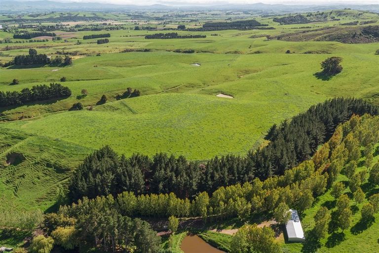 Photo of property in 261 Millars Road, Longbush, 5792