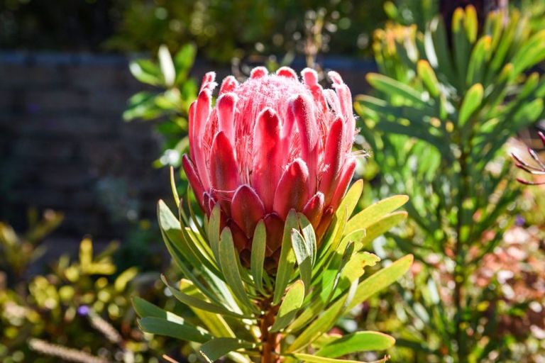 Photo of property in 53 Stephen Street, Halfway Bush, Dunedin, 9010