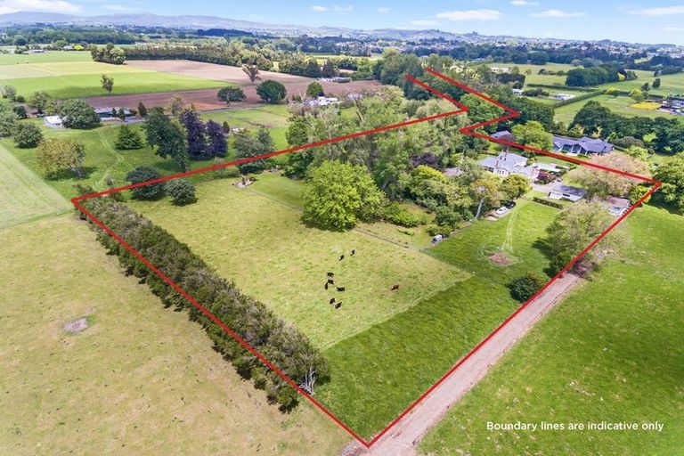 Photo of property in 78a Horrell Road, Morrinsville, 3374