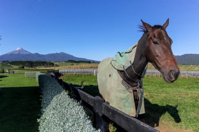 Photo of property in 415 Hurford Road, Hurford, New Plymouth, 4374