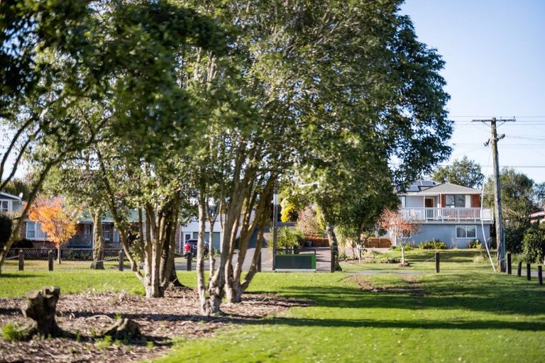 Photo of property in 163 Mahoe Street, Melville, Hamilton, 3206