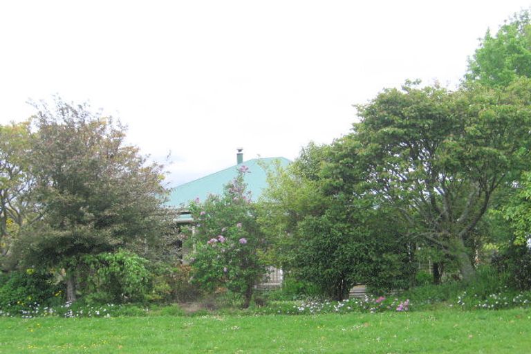 Photo of property in 114 Consols Street, Waihi, 3610