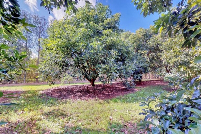 Photo of property in 50 Wright Road, Dairy Flat, Albany, 0794