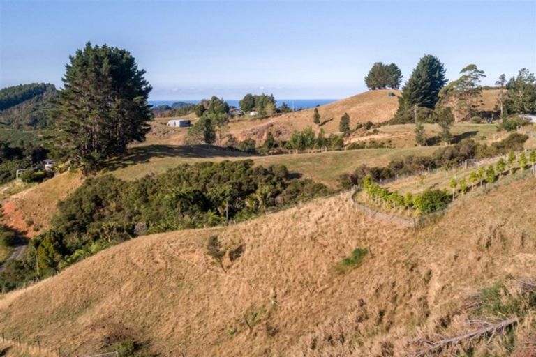 Photo of property in 50c Paul Road, Whenuakite, Whitianga, 3591