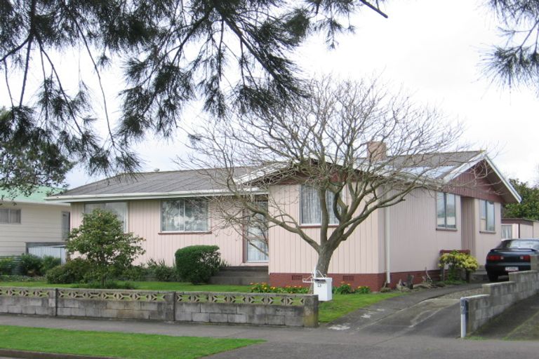 Photo of property in 21 Dampier Avenue, Awapuni, Palmerston North, 4412