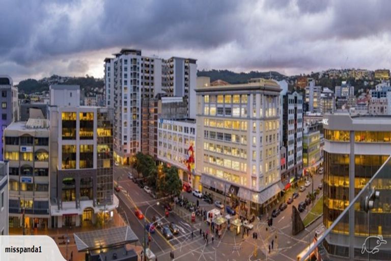 Photo of property in Soho Apartments, 620/74 Taranaki Street, Te Aro, Wellington, 6011