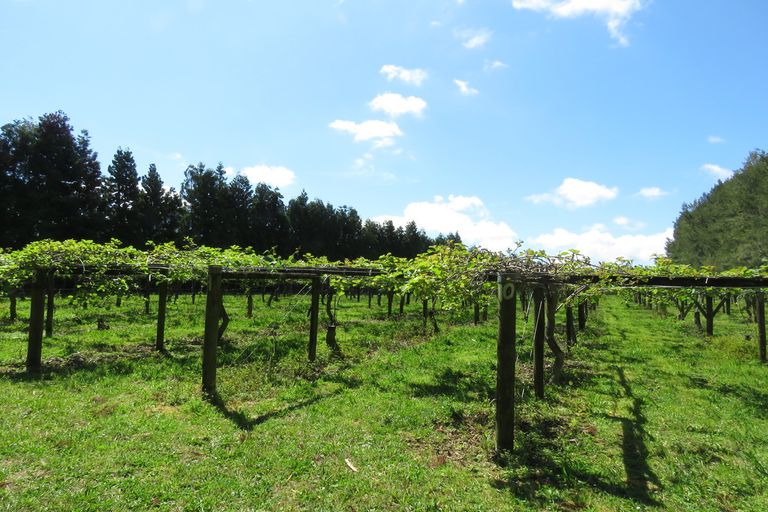 Photo of property in 2 Tanekaha Drive, Parahaki, Whangarei, 0112