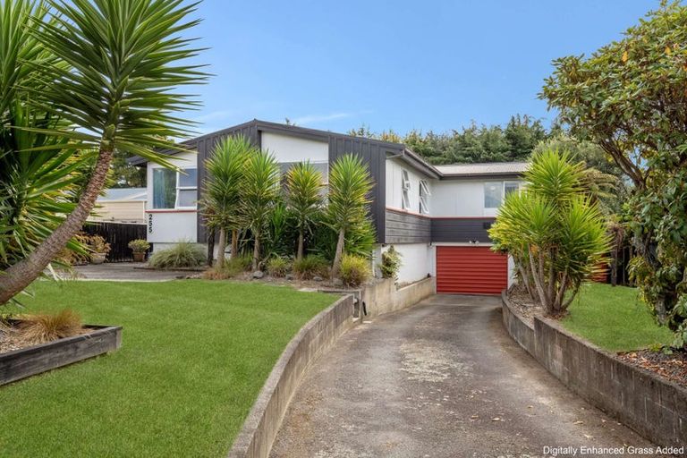 Photo of property in 255 Cambridge Street, Levin, 5510