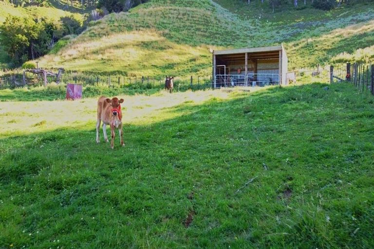 Photo of property in 822 Motukawa Road, Tarata, Inglewood, 4387