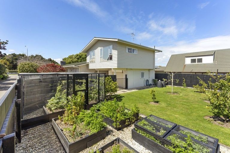 Photo of property in 272a Albert Street, Hokowhitu, Palmerston North, 4410