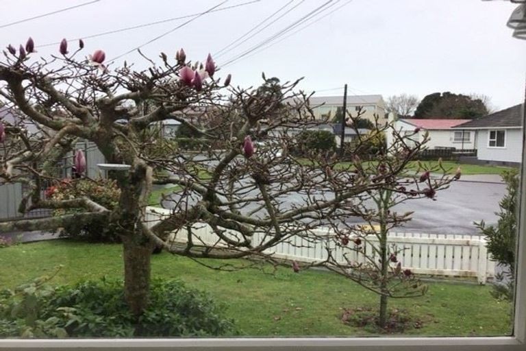 Photo of property in 36 Trafalgar Street, Westown, New Plymouth, 4310