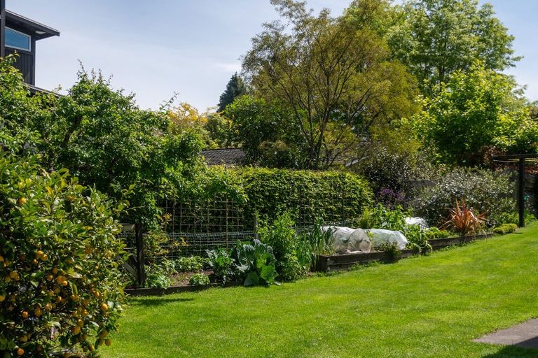 Photo of property in 11 Kokopu Street, Turangi, 3334